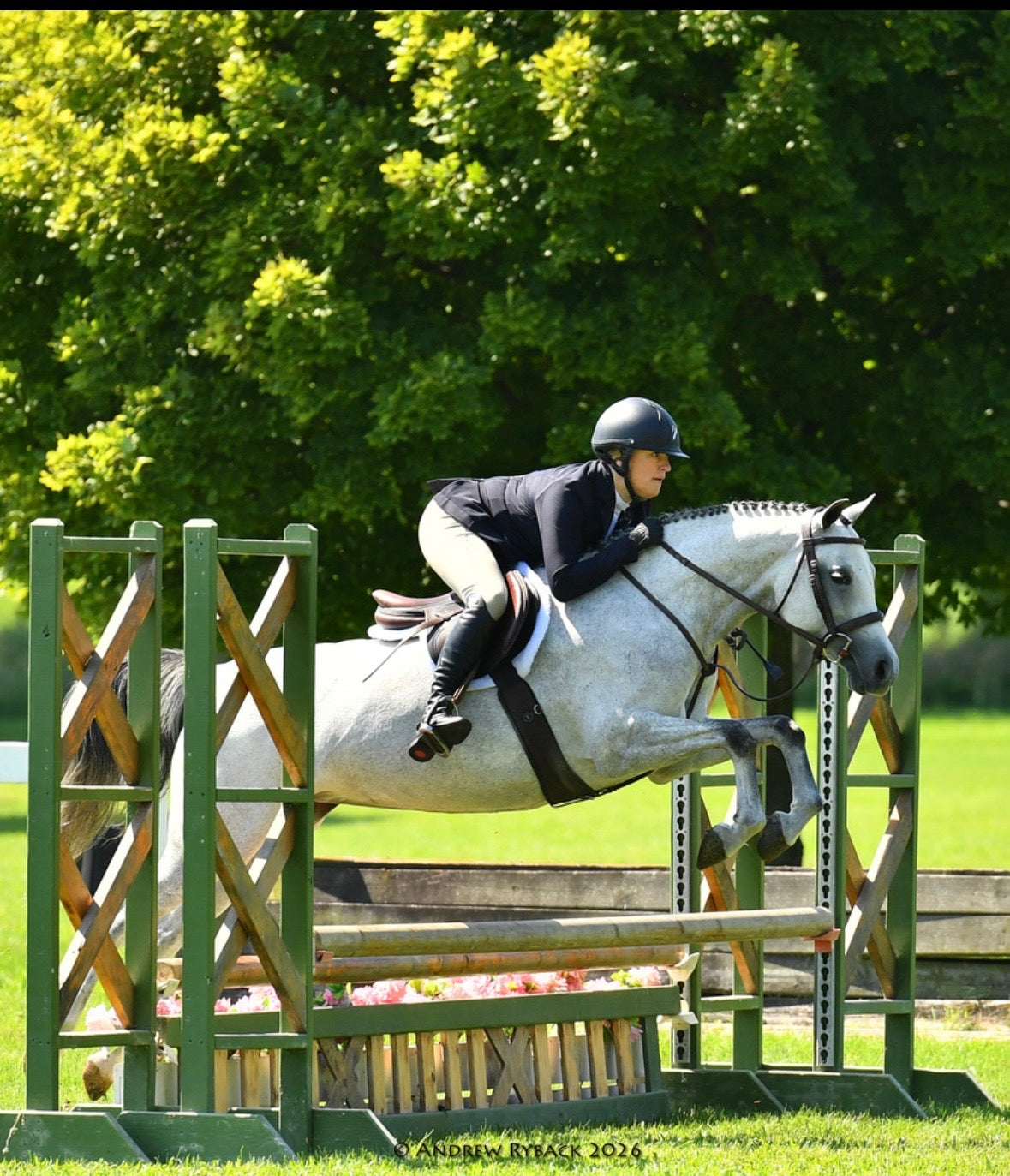 Le Cheval