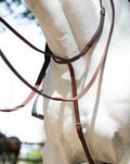 Antares Signature Standing Martingale
