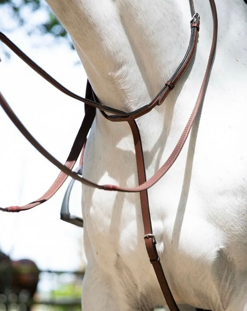 Antares Signature Standing Martingale
