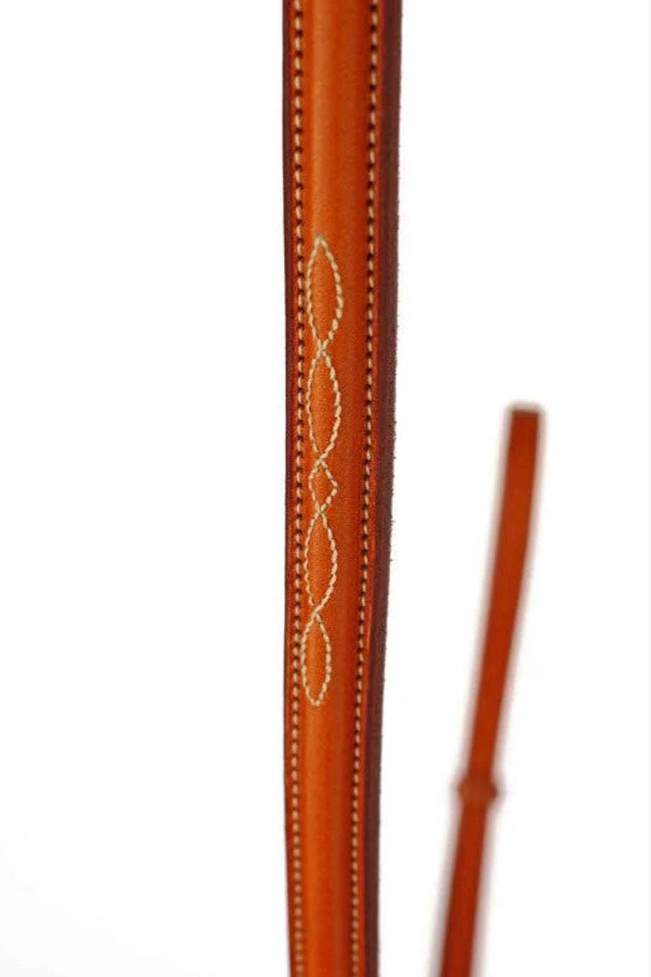 Edgewood Standing Martingale