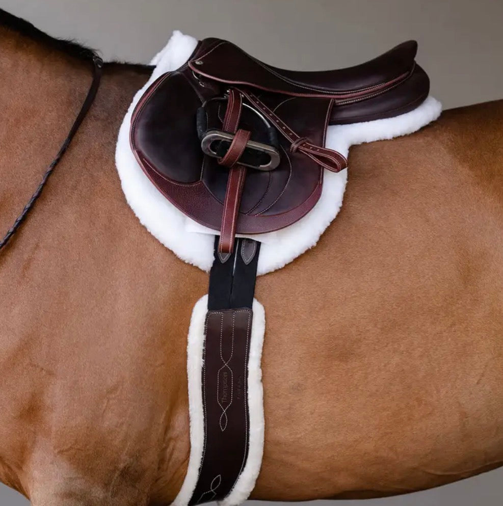 EquiFit Show Pad